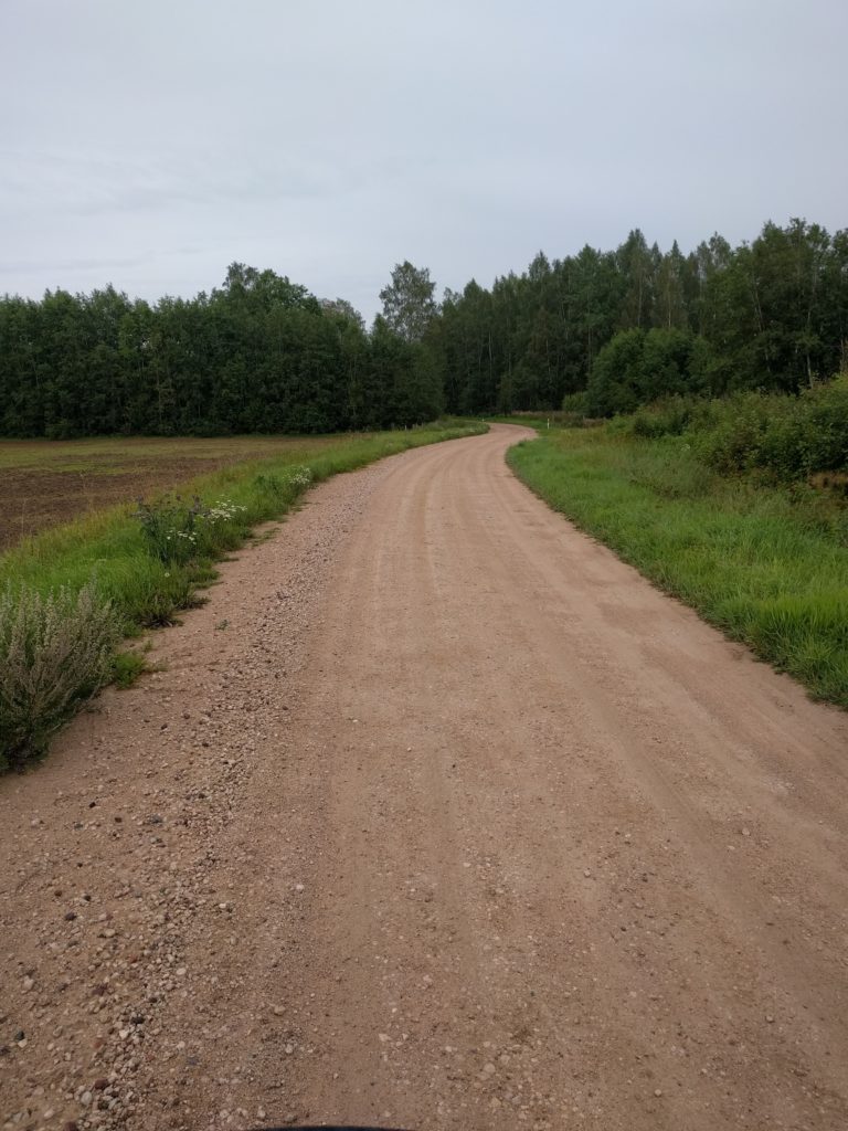 Road 137 near Voose (Estonia)