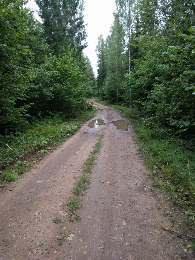 Track near Käpajärv lake (Estonia)