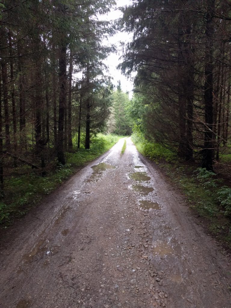 Track between Mägede liivakarjäär and Aegviidu (Estonia)
