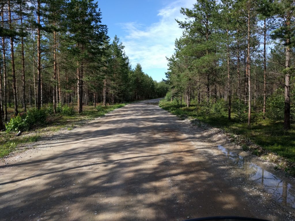 Road west of Rehatse MKA (Estonia)