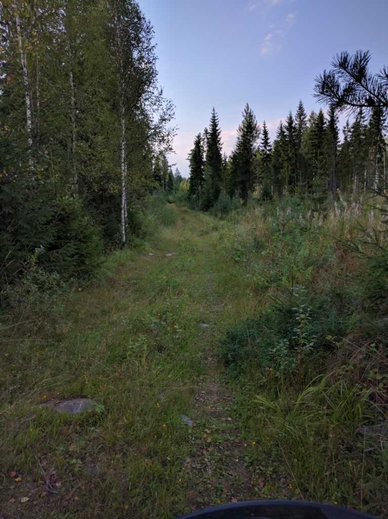 Forest track near Fransas (Sipoo)