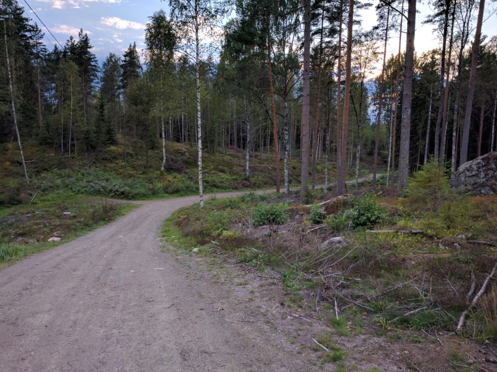 Martiksentie in Sipoonkorpi National Park (Sipoo)