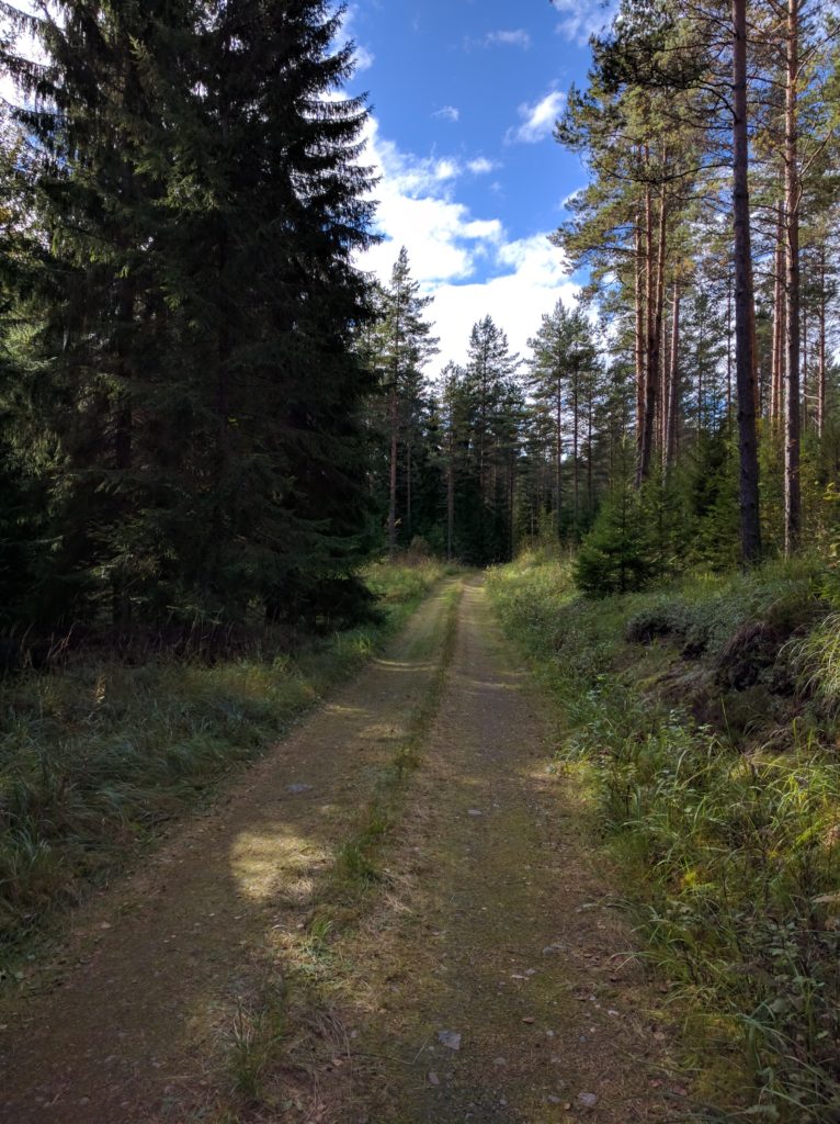 Forest track near Likolampi (Kantola)