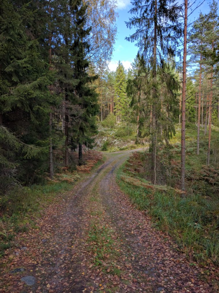 Forest track in Kantola 