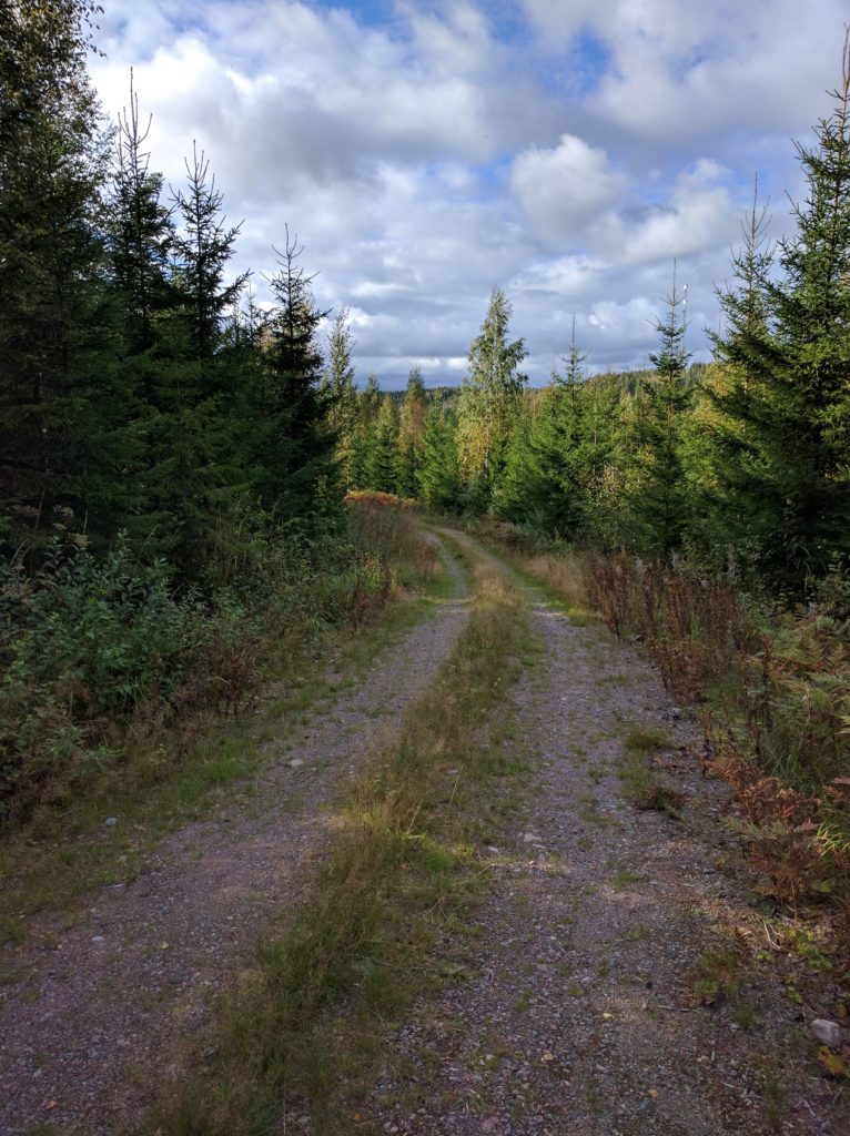Track south of Ylimmäinen lake