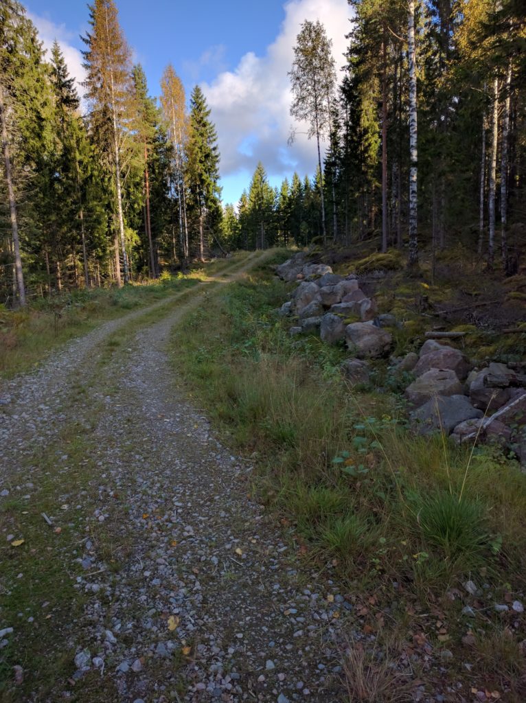 Tracks south-west of Keihäsjärvi lake