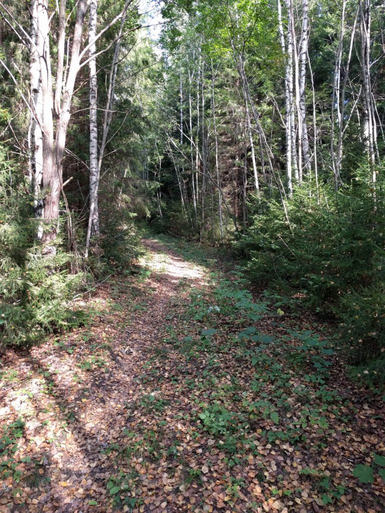 Track connecting to the north end of Vaanilantie (Lohja)