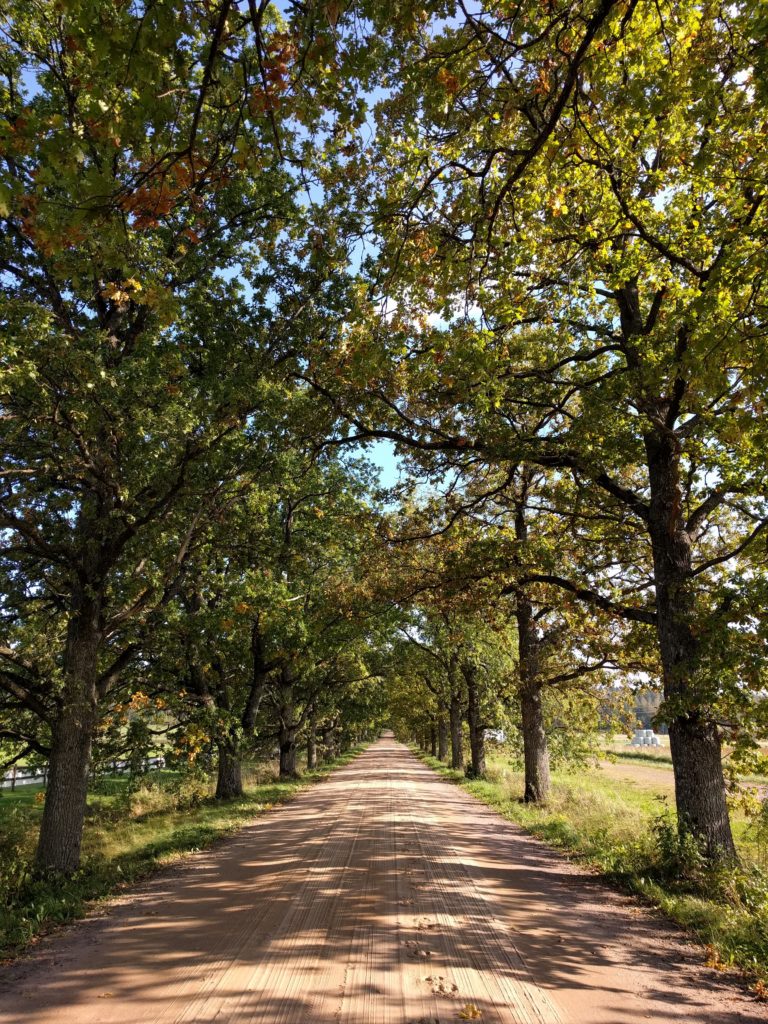 Laakspohjan kartano (Lohja)