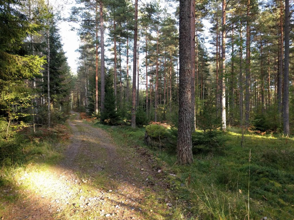 Path near the rail bridge of Siggansintie (Siuntio)