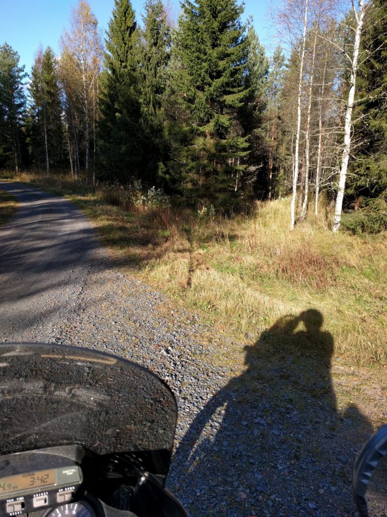 Path north of Valkealammi lake (Vihti)