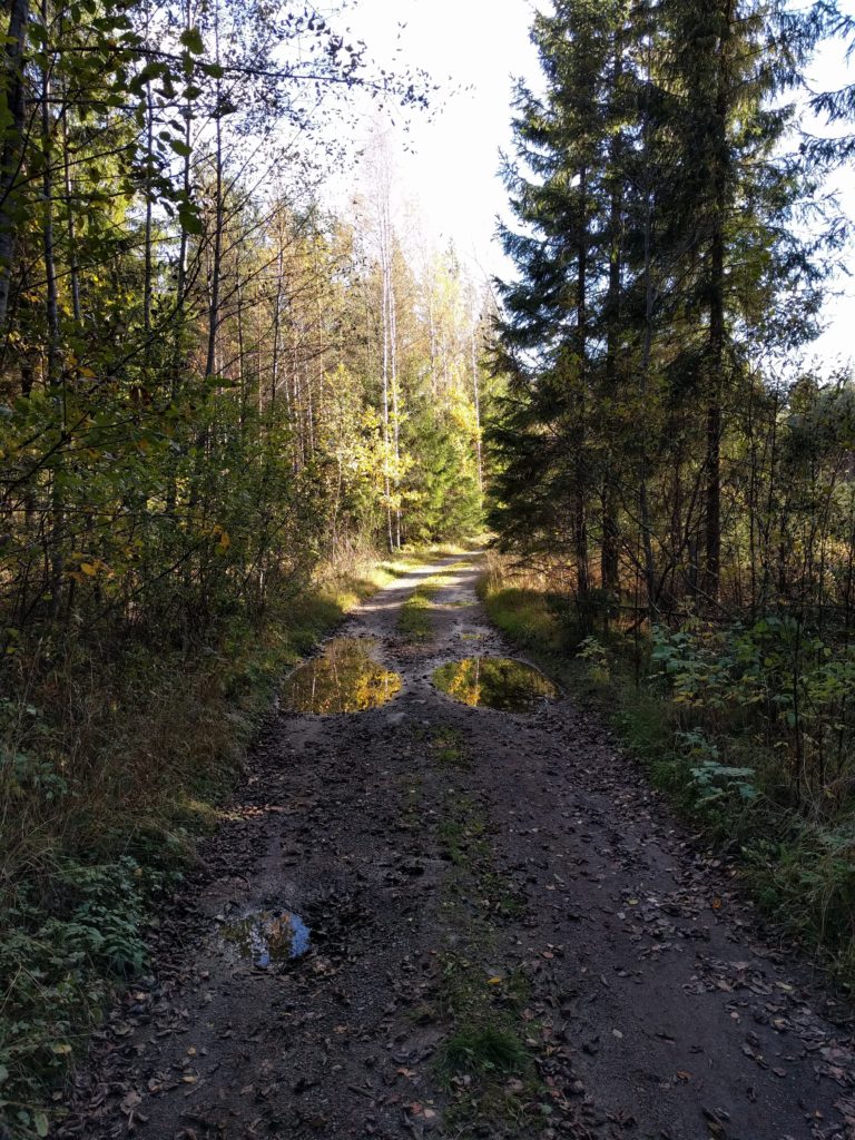 Path south of Suopellontie (Vihti)