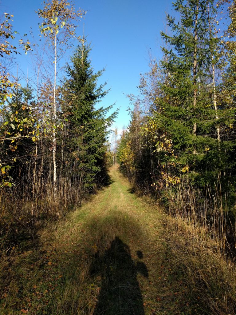 Path south of Suopellontie (Vihti)