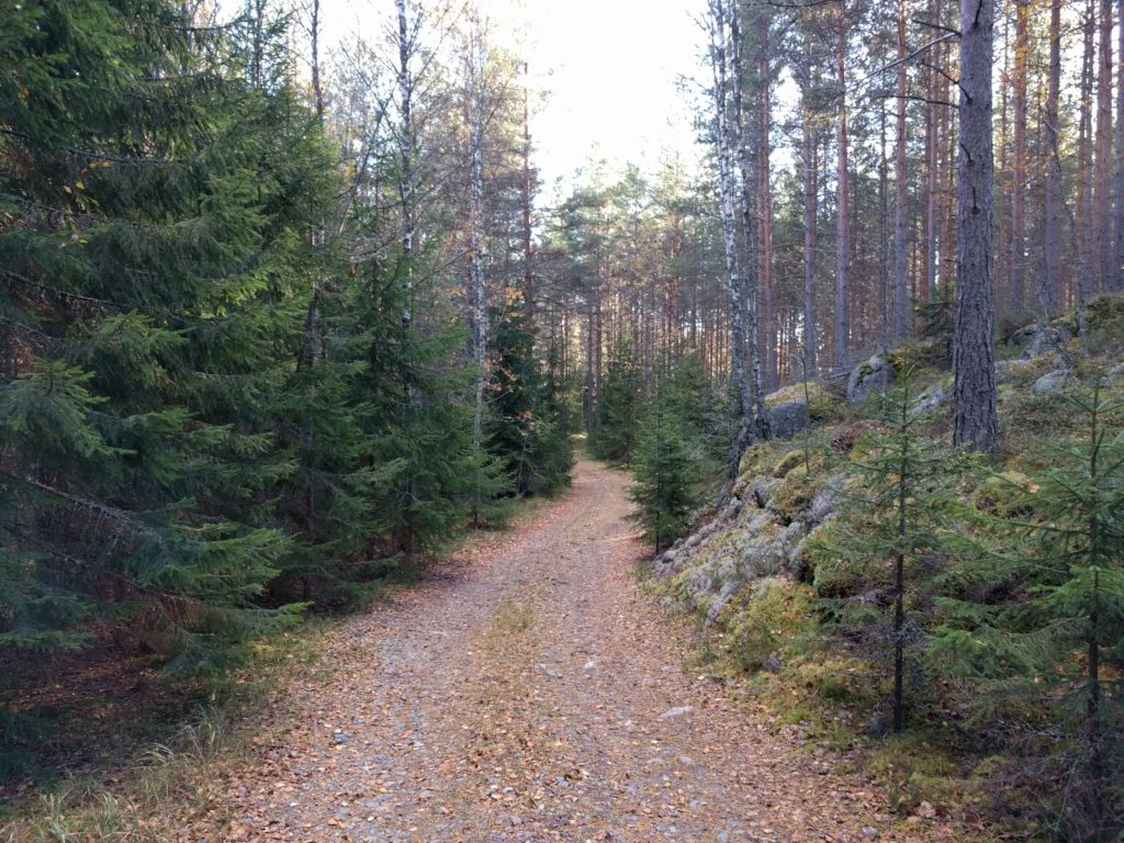 Path near Valkealammi (Vihti)
