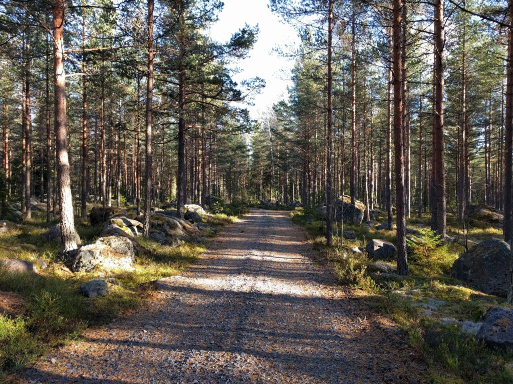 Path in Kalkkivuori (Vihti)